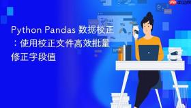 Python Pandas 数据校正：使用校正文件高效批量修正字段值
