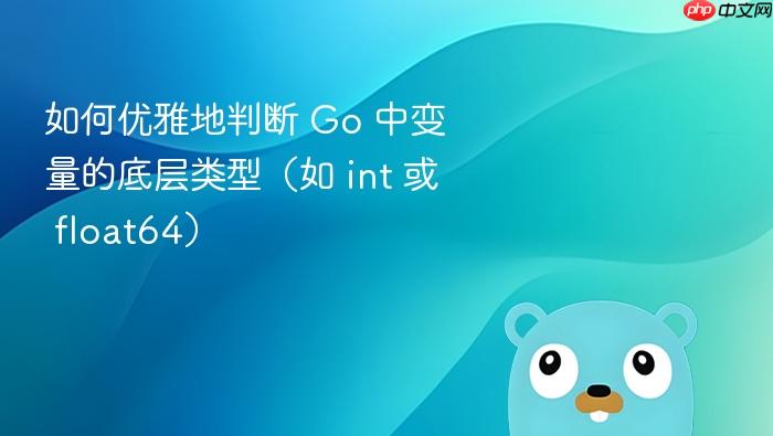 如何优雅地判断 Go 中变量的底层类型(如 int 或 float64)