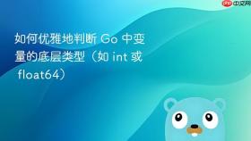 如何优雅地判断 Go 中变量的底层类型(如 int 或 float64)