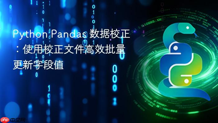 Python Pandas 数据校正:使用校正文件高效批量更新字段值