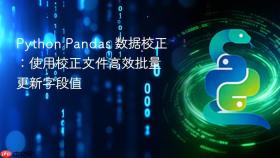Python Pandas 数据校正:使用校正文件高效批量更新字段值