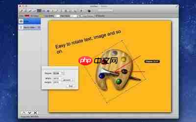 Paint.NET如何使用吸管工具取色配色