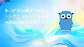 IPv6扩展头捕获与解析：为何原始套接字无法获取完整IPv6报文及替代方案
