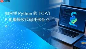 如何将 Python 的 TCP/IP 组播接收代码迁移至 Go
