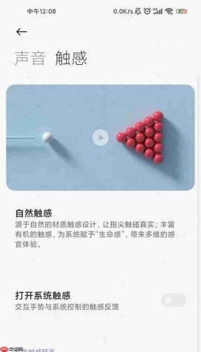 小米手机怎么关闭按键震动