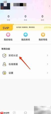 AB语音实名认证步骤详解