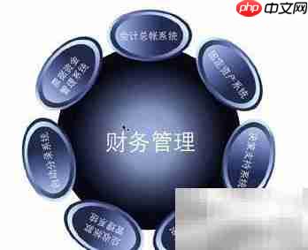财务与会计:核心差异解析