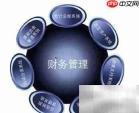 财务与会计：核心差异解析