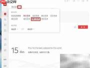 有道词典如何翻译葡语