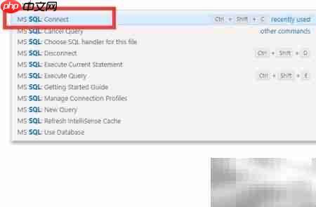 VS Code连接SQL Server指南