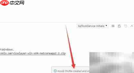 VS Code连接SQL Server指南