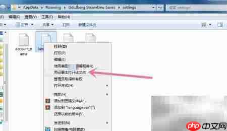 狂热运输2中文设置教程