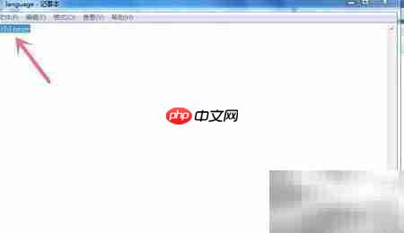 狂热运输2中文设置教程