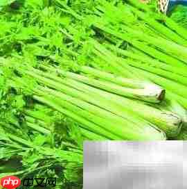 芹菜营养成分解析