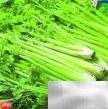 芹菜营养成分解析