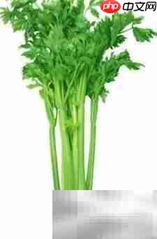 芹菜营养成分解析