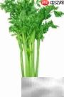 芹菜营养成分解析