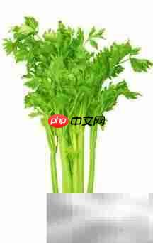 芹菜营养成分解析
