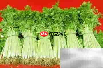 芹菜营养成分解析