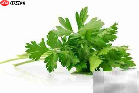 芹菜营养成分解析