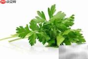 芹菜营养成分解析
