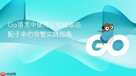 Go语言中使用正则提取匹配子串的完整实践指南
