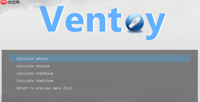 Ventoy 主菜单中选中镜像文件后进入校验功能的界面