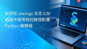 如何在 xlwings 自定义加载项中使用相对路径配置 Python 解释器