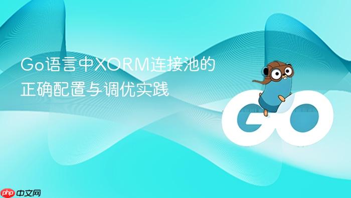 Go语言中XORM连接池的正确配置与调优实践
