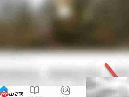 QQ浏览器书签置顶方法