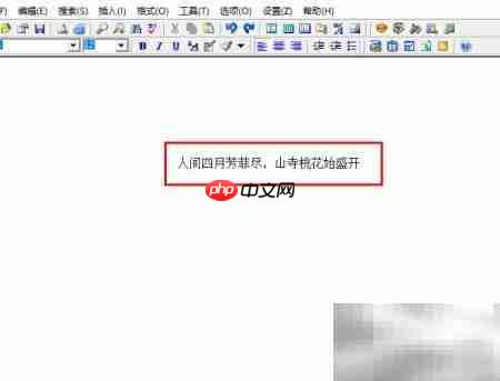 EasyPad汉字拼音标注教程