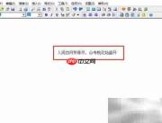 EasyPad汉字拼音标注教程