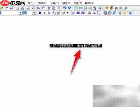 EasyPad汉字拼音标注教程
