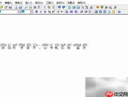 EasyPad汉字拼音标注教程