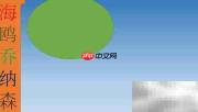 海鸥乔纳森:飞翔的梦想