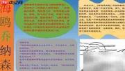 海鸥乔纳森:飞翔的梦想