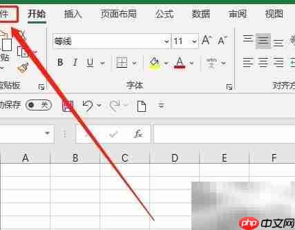 Excel旧文本导入向导