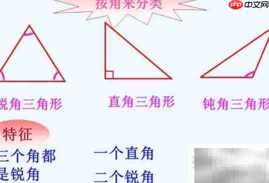 三角形在小学数学中的地位
