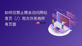 如何仅禁止爬虫访问网站首页（/）而允许其他所有页面

