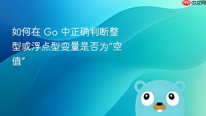 如何在 Go 中正确判断整型或浮点型变量是否为“空值”