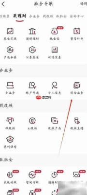国融证券兜兜满综合业务查看指南