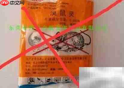 逮老鼠妙招大揭秘