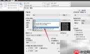 AutoCAD转PDF输出方法