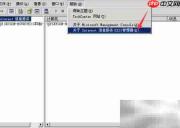 Windows 2003查看IIS版本