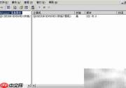 Windows 2003查看IIS版本