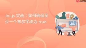 Joi.js 实战:如何确保至少一个布尔字段为 true