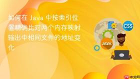 如何在 Java 中按索引位置精确比对两个内存映射输出中相同文件的地址变化