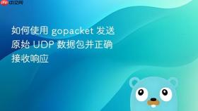 如何使用 gopacket 发送原始 UDP 数据包并正确接收响应