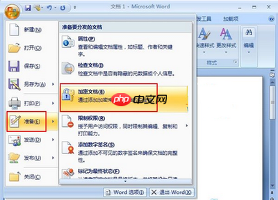 如何用office2010加密文档