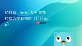 如何将 uint64 切片高效转换为字节切片（[][]byte）

